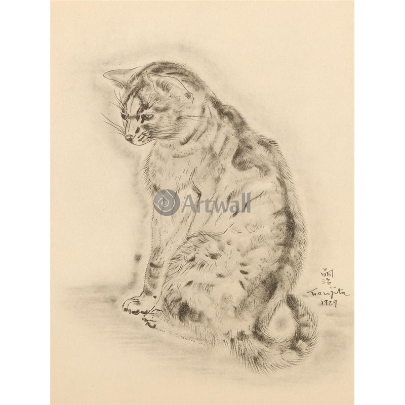 Из книги Кошек