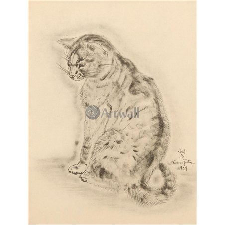 Из книги Кошек