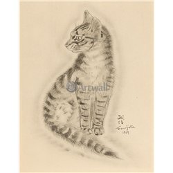 Из книги Кошек