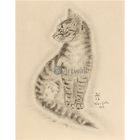 Из книги Кошек
