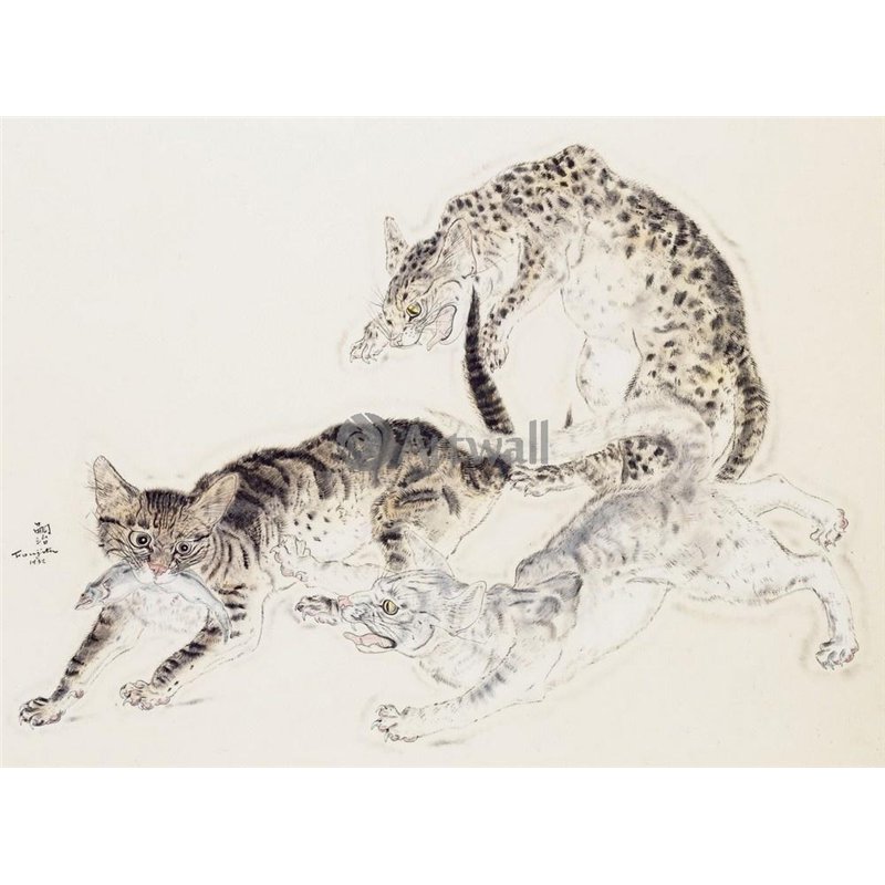 Кошки