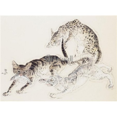 Кошки