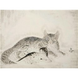Кошка с котентком