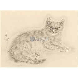 Из книги Кошек