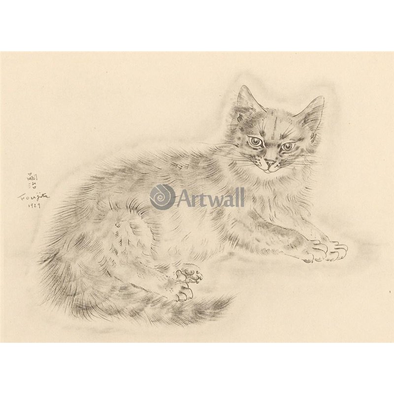 Из книги Кошек
