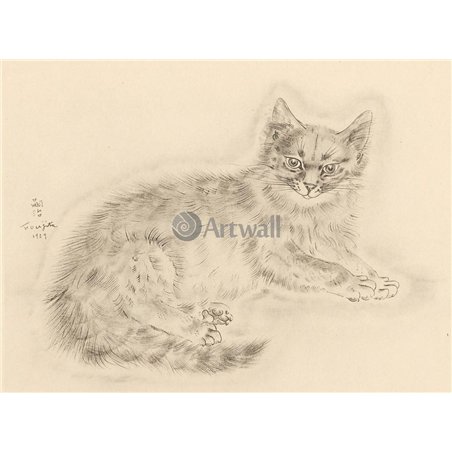 Из книги Кошек