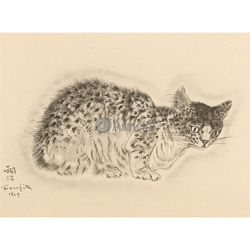 Из книги Кошек