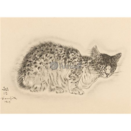 Из книги Кошек