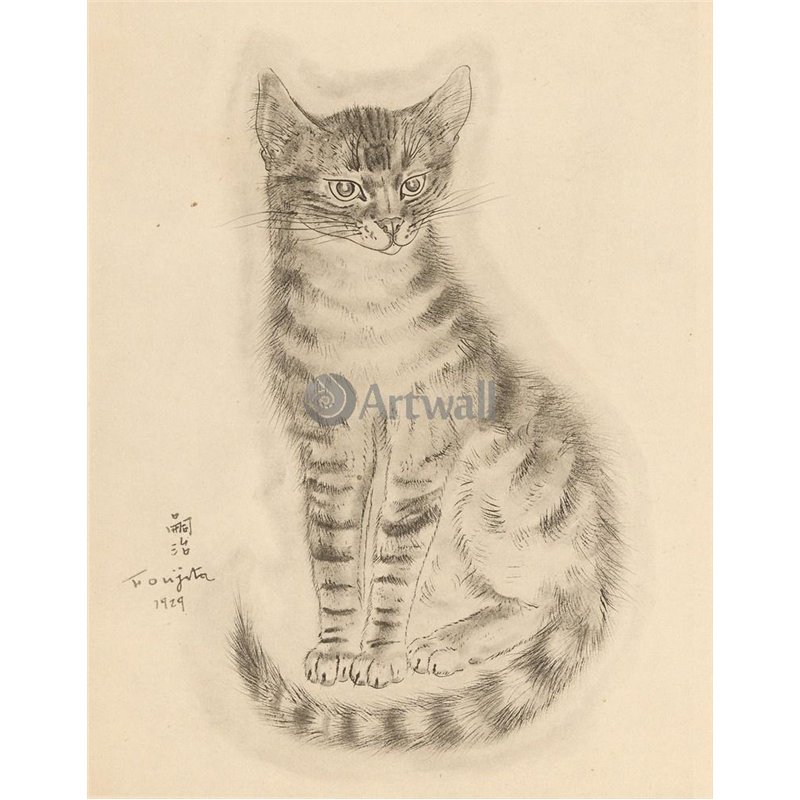 Из книги Кошек