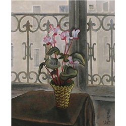 Цикламены