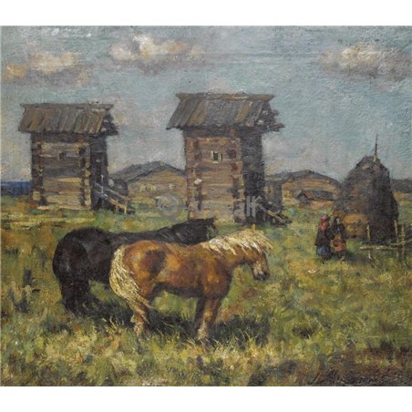 Лошади в поле