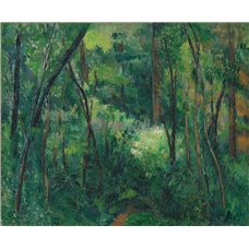 Картина на холсте по фото Модульные картины Печать портретов на холсте Лесной пейзаж