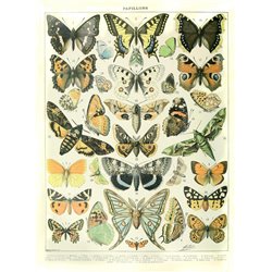Бабочки - Модульная картины, Репродукции, Декоративные панно, Декор стен
