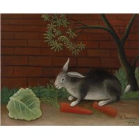 Кролик и капуста