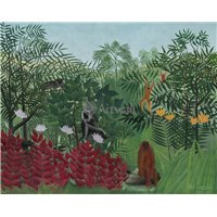 Портреты картины репродукции на заказ - Тропический лес с обезьянами
