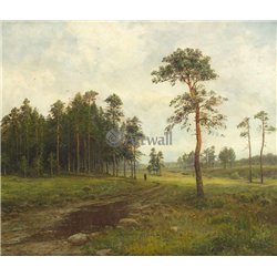 Лесная дорога