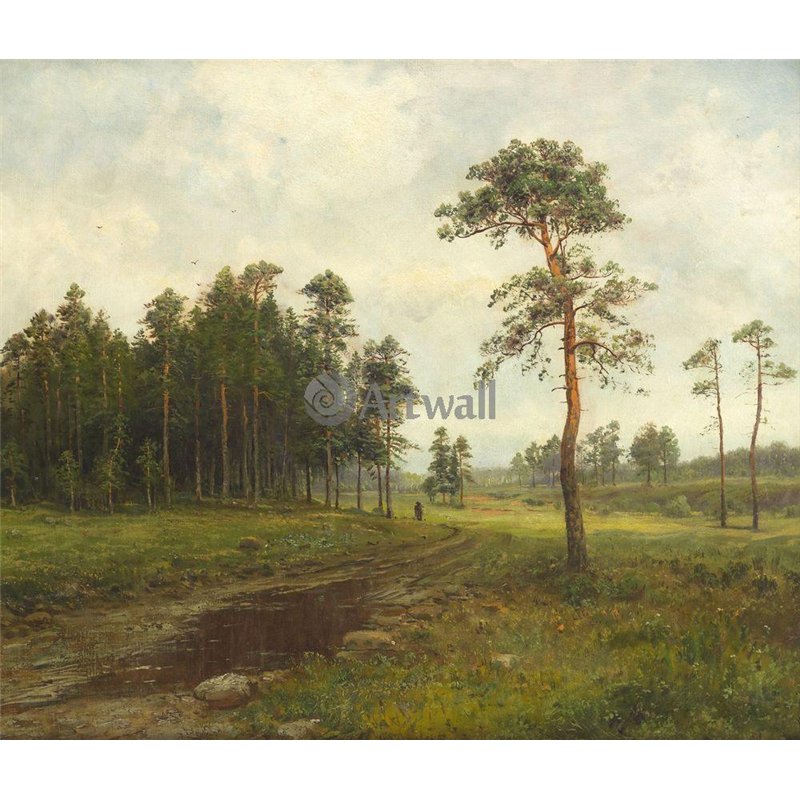 Лесная дорога