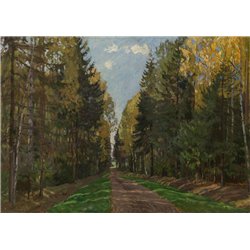 Аллея в парке