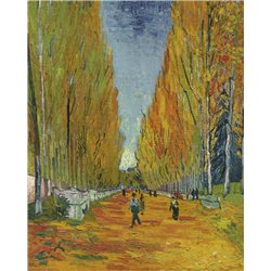Аллея в Алискемпе
