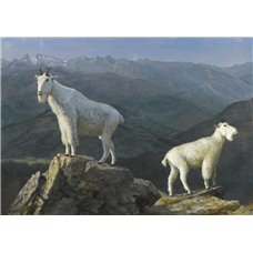 Картина на холсте по фото Модульные картины Печать портретов на холсте Бирстадт Альберт «Снежные козы»