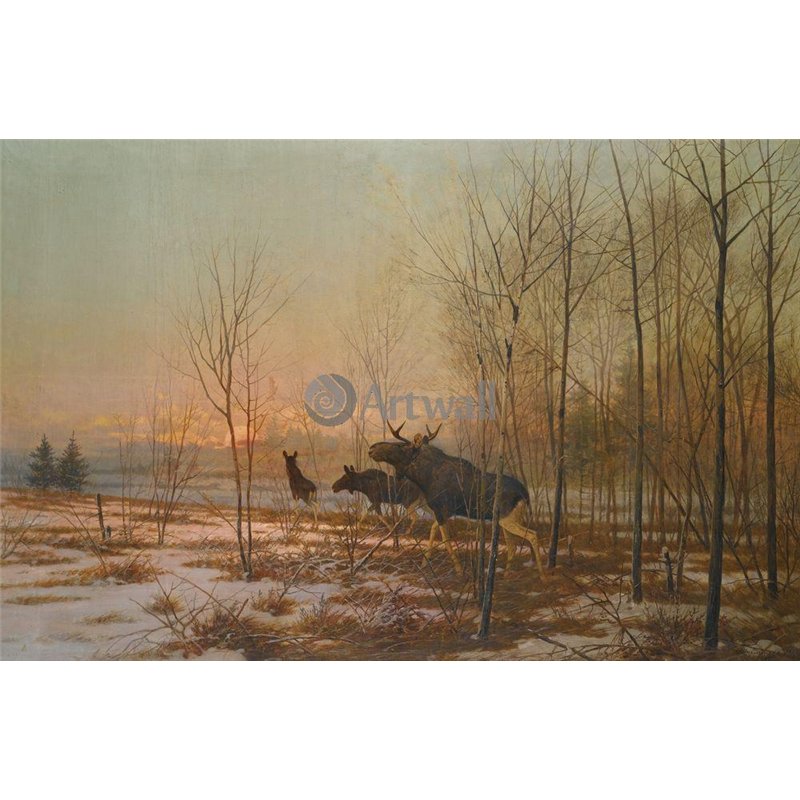 Лоси