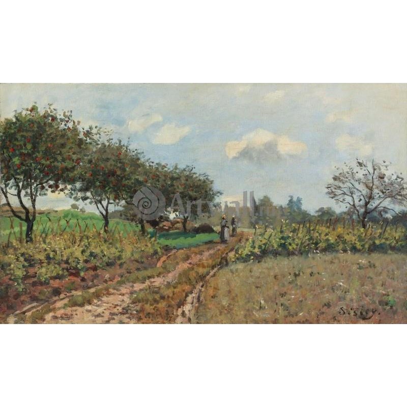 Дорога в Шампане