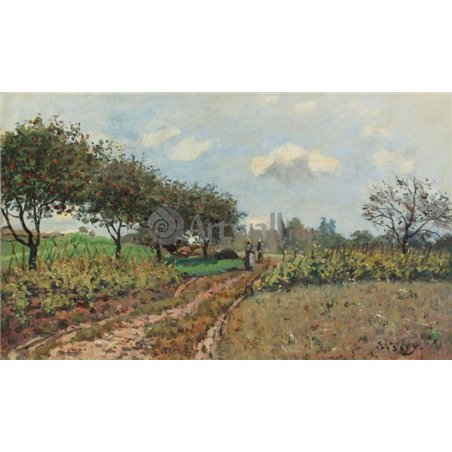 Дорога в Шампане