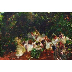 Среди апельсиновых деревьев