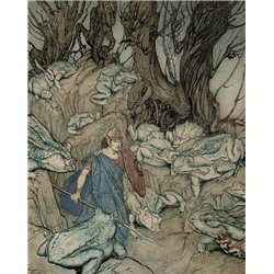 Бекума Белой Кожи, Ирландская Фея