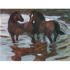 Картина на холсте по фото Модульные картины Печать портретов на холсте Две лошади на водопое