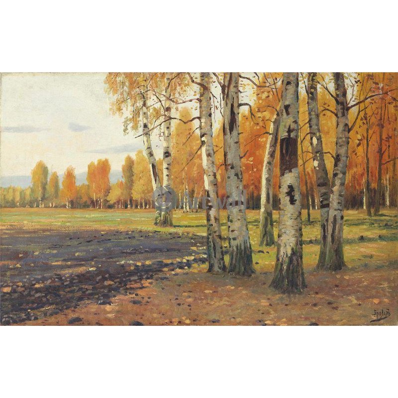 Березы на опушке