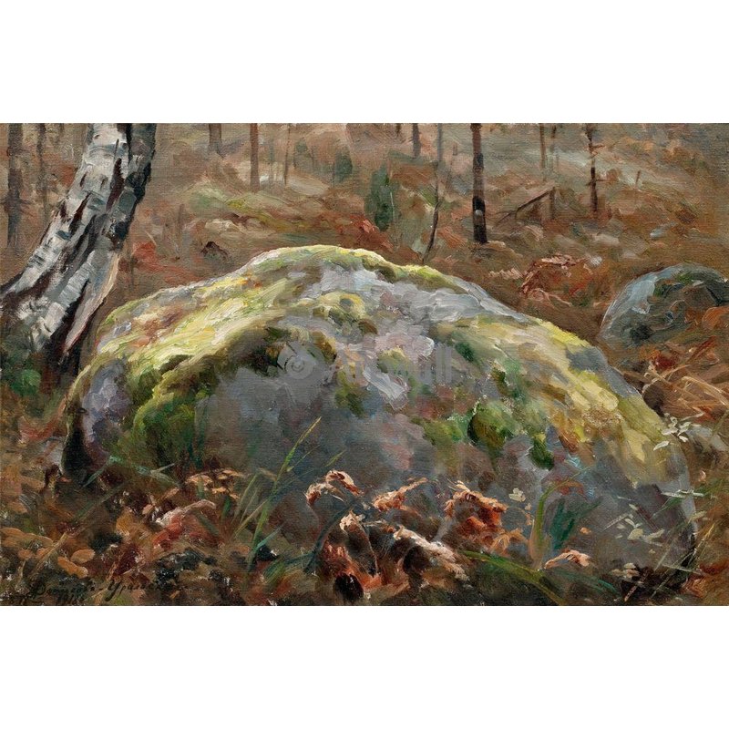 В лесу
