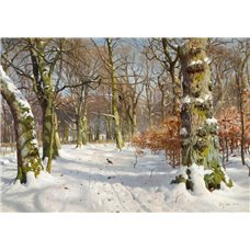 Картина на холсте по фото Модульные картины Печать портретов на холсте Зимний лес