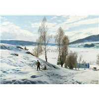 Портреты картины репродукции на заказ - Зимний день в Однес, Норвегия