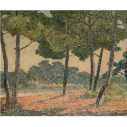 Вид на Ландский лес
