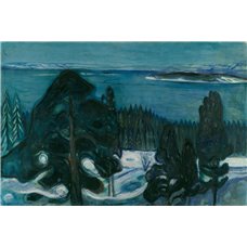 Картина на холсте по фото Модульные картины Печать портретов на холсте Зимняя ночь