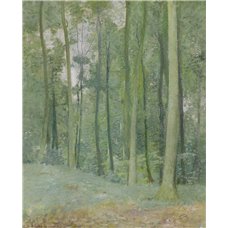 Картина на холсте по фото Модульные картины Печать портретов на холсте Карлсен Эмиль «Лесной пейзаж»