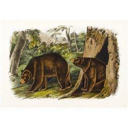Коричный медведь - Модульная картины, Репродукции, Декоративные панно, Декор стен