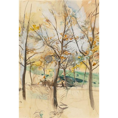 Деревья в Булонском лесу