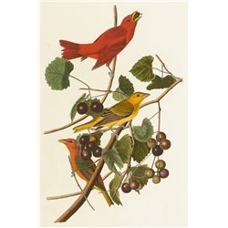 Летняя красная птица - Модульная картины, Репродукции, Декоративные панно, Декор стен