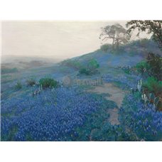 Картина на холсте по фото Модульные картины Печать портретов на холсте Люпиновое поле, раннее утро