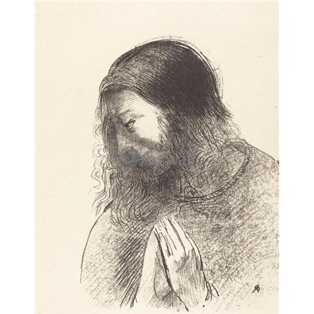 И я, Иоанн, видел это и слышал