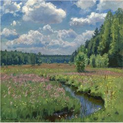 Знойный июнь, река Побойка