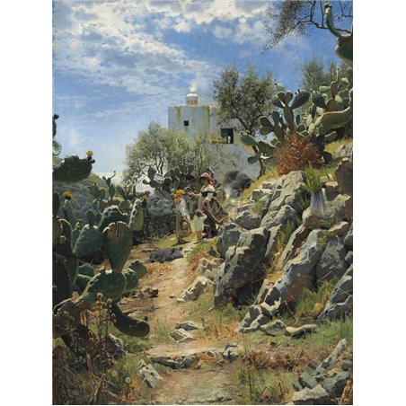 Кактусы, Капри