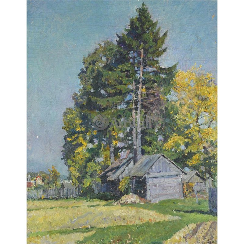 Кедр
