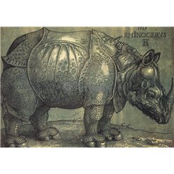 Носорог - Модульная картины, Репродукции, Декоративные панно, Декор стен