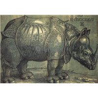 Портреты картины репродукции на заказ - Носорог