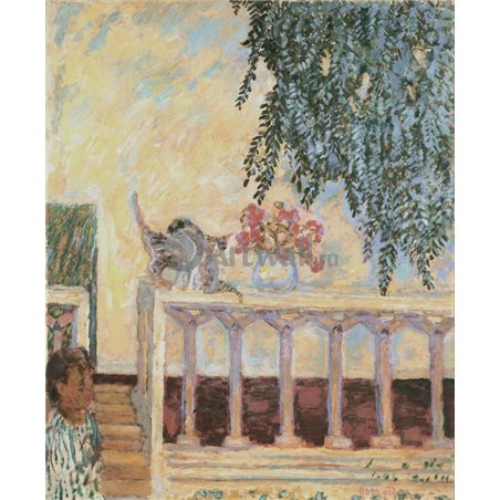 Кошки на перилах