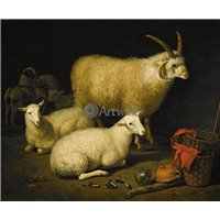 Портреты картины репродукции на заказ - Овцы в хлеву