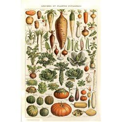 Овощи - Модульная картины, Репродукции, Декоративные панно, Декор стен